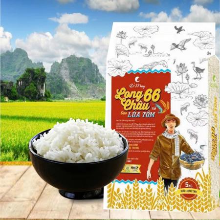 Gạo Long Châu 66 lúa tôm